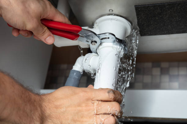 Best Water damage cleanup near me  in Union City, IN
