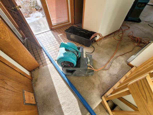 Best Water damage restoration near me  in Union City, IN