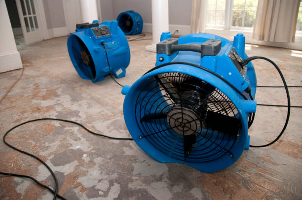 Best Water damage restoration near me  in Union City, IN