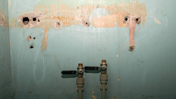 Best Fire Damage Restoration  in Union City, IN