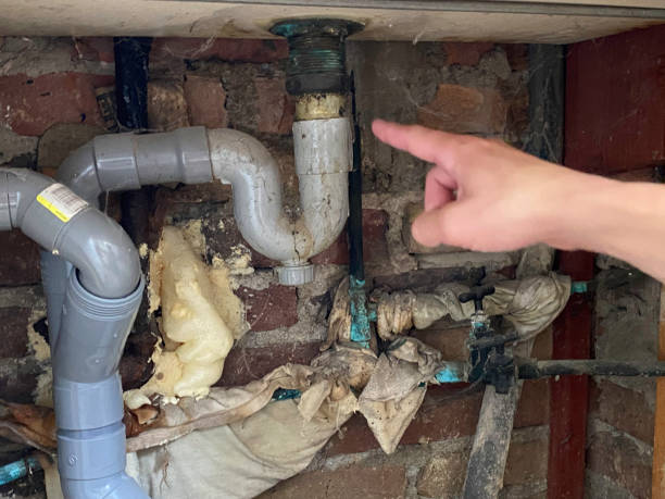 Best Local water damage restoration  in Union City, IN